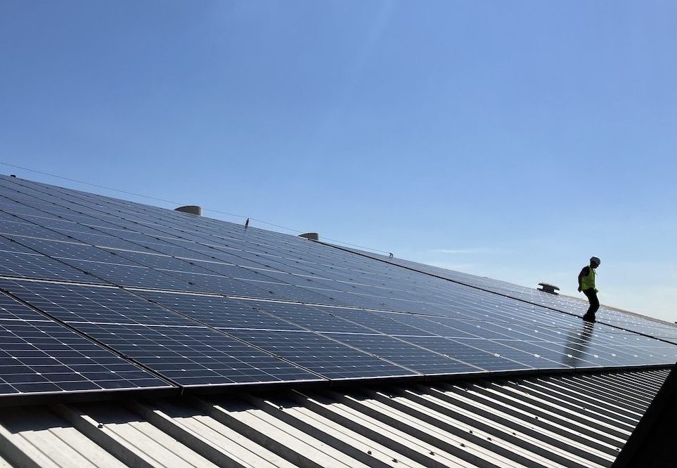 Kerry Taste & Nutrition – a case study